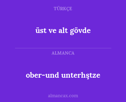 üst ve alt gövde - ober-und unterhştze