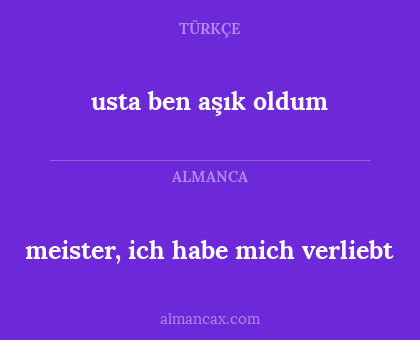 meister, ich habe mich verliebt - usta ben aşık oldum