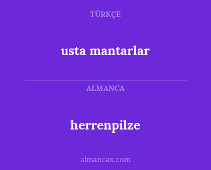 usta mantarlar - herrenpilze