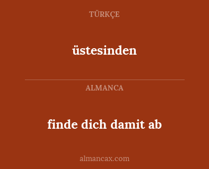 üstesinden - finde dich damit ab