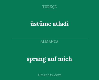 sprang auf mich - üstüme atladi
