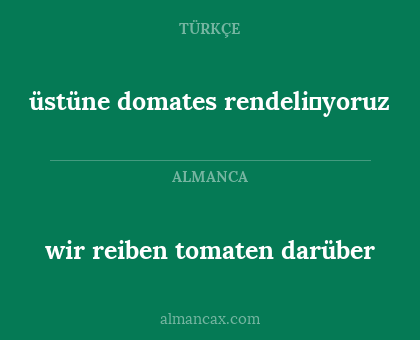 wir reiben tomaten darüber - üstüne domates rendeli̇yoruz