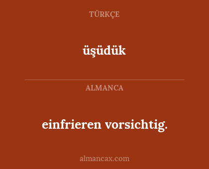 einfrieren vorsichtig. - üşüdük