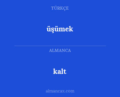 üşümek - kalt