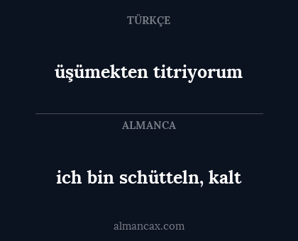 ich bin schütteln, kalt - üşümekten titriyorum