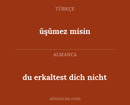 üşümez misin - du erkaltest dich nicht
