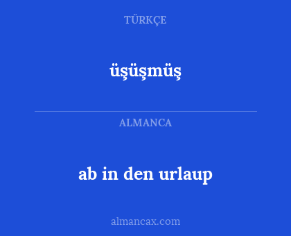 üşüşmüş - ab in den urlaup