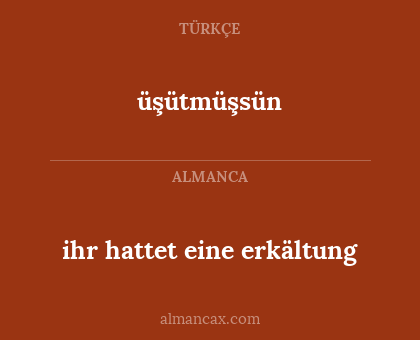 ihr hattet eine erkältung - üşütmüşsün