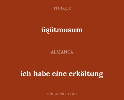 ich habe eine erkältung - üşütmusum