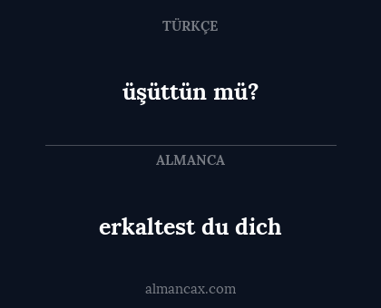 üşüttün mü? - erkaltest du dich