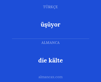 die kälte - üşüyor