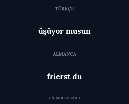 frierst du - üşüyor musun