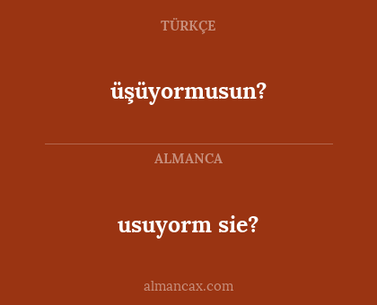 usuyorm sie? - üşüyormusun?