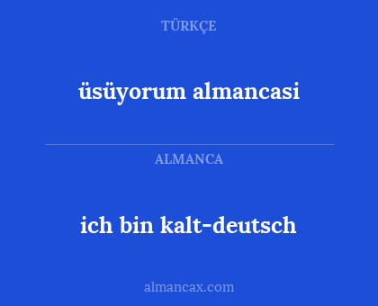 ich bin kalt-deutsch - üsüyorum almancasi