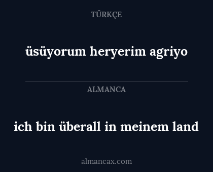 üsüyorum heryerim agriyo - ich bin überall in meinem land