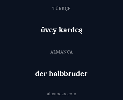 der halbbruder - üvey kardeş