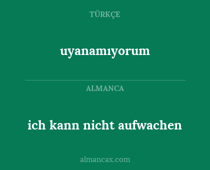 ich kann nicht aufwachen - uyanamıyorum