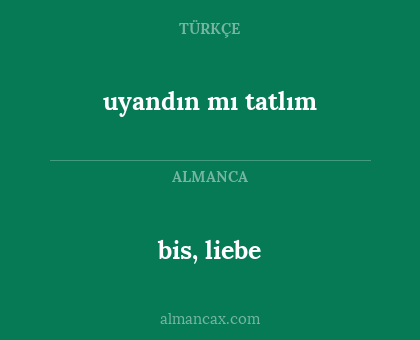 bis, liebe - uyandın mı tatlım