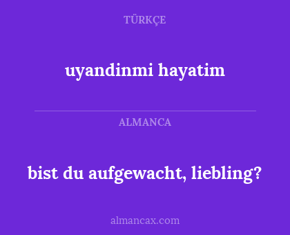 bist du aufgewacht, liebling? - uyandinmi hayatim