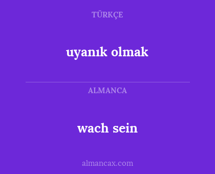 wach sein - uyanık olmak