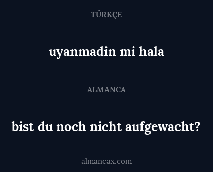 bist du noch nicht aufgewacht? - uyanmadin mi hala