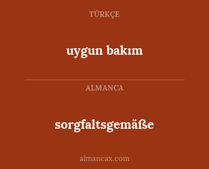 sorgfaltsgemäße - uygun bakım