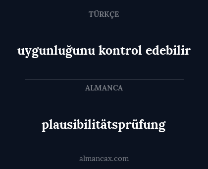 plausibilitätsprüfung - uygunluğunu kontrol edebilir