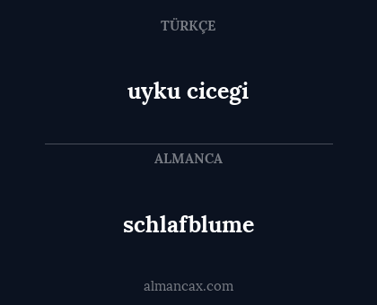 uyku cicegi - schlafblume