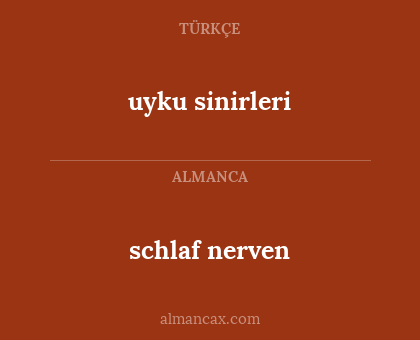 uyku sinirleri - schlaf nerven