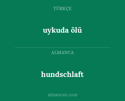 uykuda ölü - hundschlaft