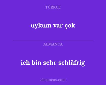 ich bin sehr schläfrig - uykum var çok