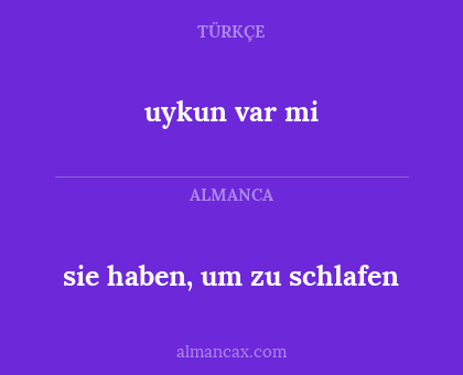 sie haben, um zu schlafen - uykun var mi