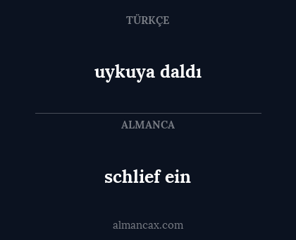 schlief ein - uykuya daldı
