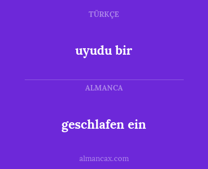 uyudu bir - geschlafen ein