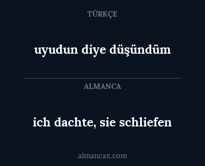 ich dachte, sie schliefen - uyudun diye düşündüm