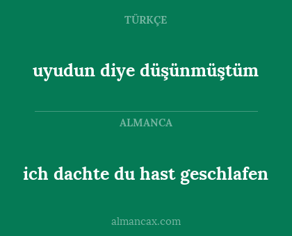 ich dachte du hast geschlafen - uyudun diye düşünmüştüm