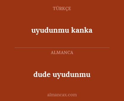 uyudunmu kanka - dude uyudunmu