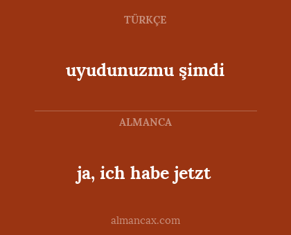 ja, ich habe jetzt - uyudunuzmu şimdi