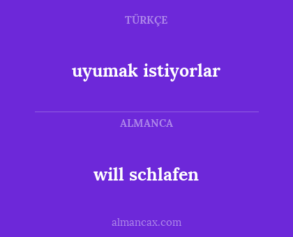 will schlafen - uyumak istiyorlar