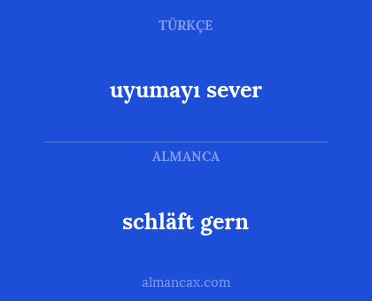 schläft gern - uyumayı sever