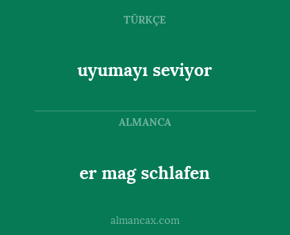 er mag schlafen - uyumayı seviyor