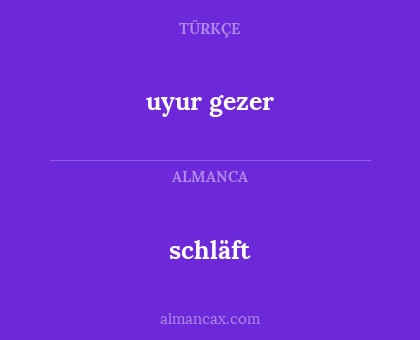 schläft - uyur gezer