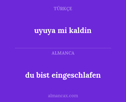 du bist eingeschlafen - uyuya mi kaldin