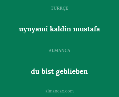 uyuyami kaldin mustafa - du bist geblieben