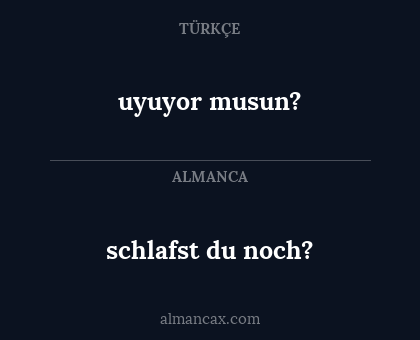 schlafst du noch? - uyuyor musun?