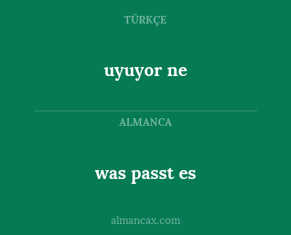 uyuyor ne - was passt es