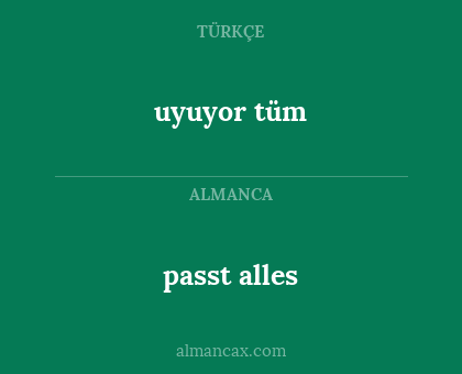 uyuyor tüm - passt alles