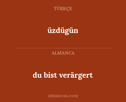 du bist verärgert - üzdügün