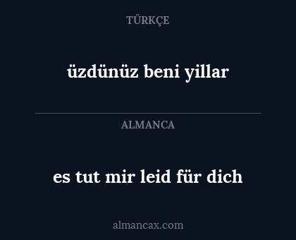 es tut mir leid für dich - üzdünüz beni yillar