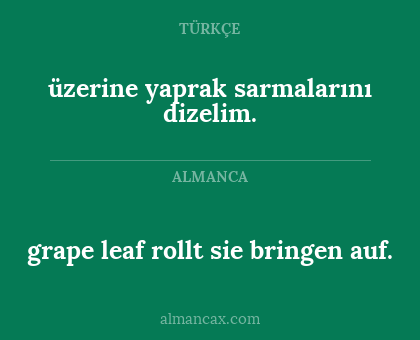 grape leaf rollt sie bringen auf. - üzerine yaprak sarmalarını dizelim.